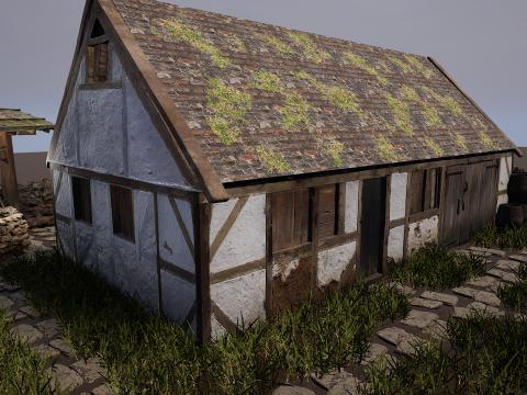 Village House with Garden 3D Model