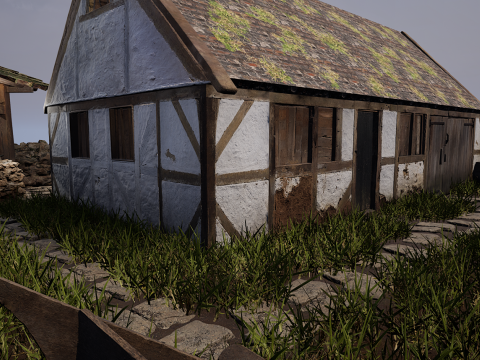 Village House with Garden 3D Model