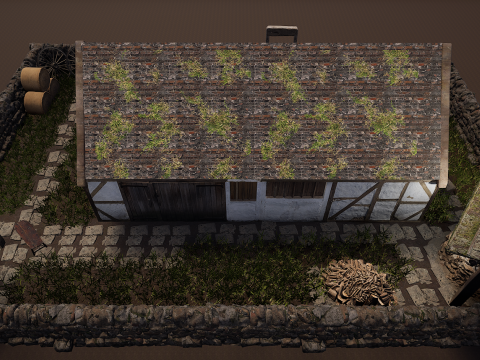 Village House with Garden 3D Model