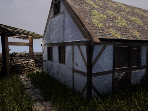Village House with Garden 3D Model