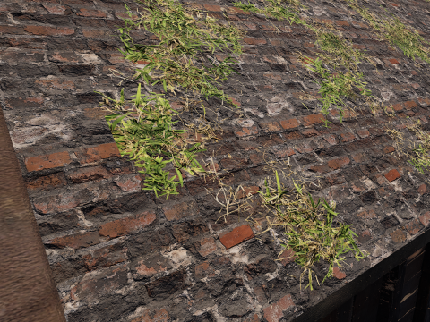 Village House with Garden 3D Model