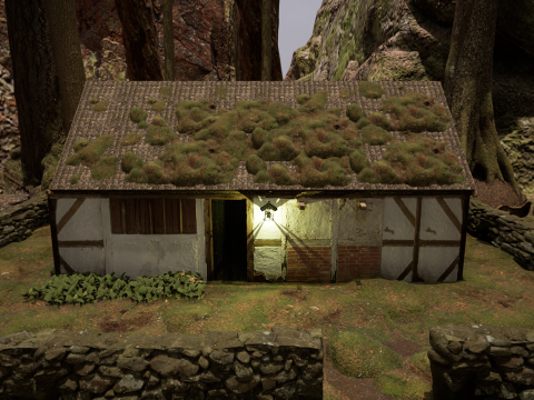 Fantasy Village House in the Dark Forest 3D 模型
