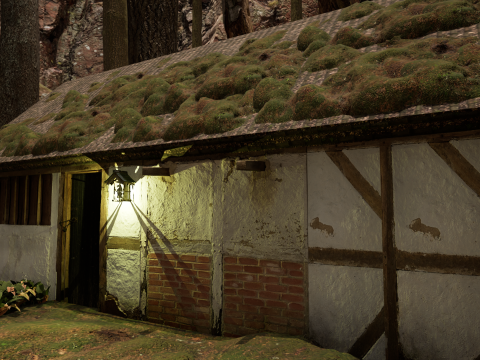 Fantasy Village House in the Dark Forest 3D 模型