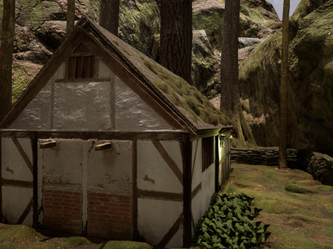 Fantasy Village House in the Dark Forest 3D 模型