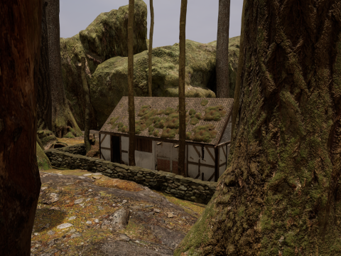 Fantasy Village House in the Dark Forest 3D 模型