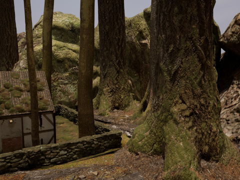 Fantasy Village House in the Dark Forest 3D 模型