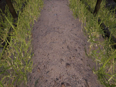 Horror Forest and Graveyard 3D Model