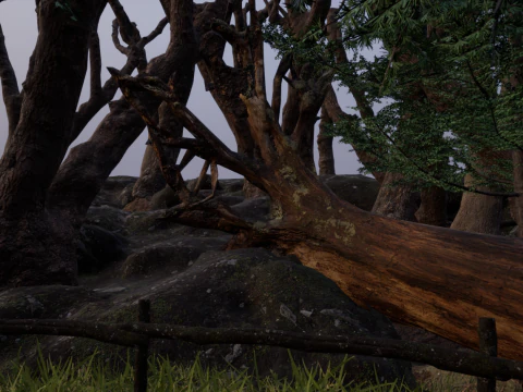 Horror Forest and Graveyard 3D Model