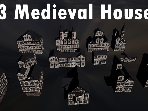 13 Medieval Fantasy Village Houses Pack Model 3D
