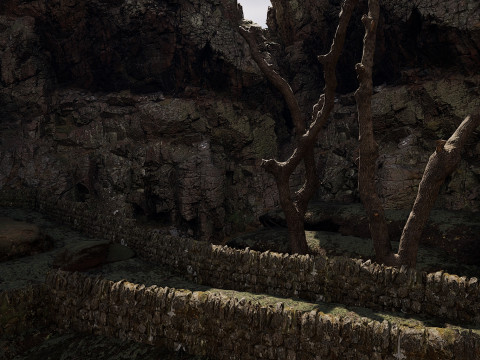 Abandoned Lonely Village House in the Forest 3D Model