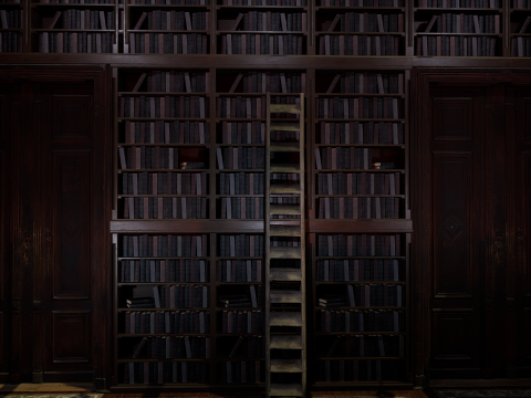 Gothic and Victorian Grand Manor Library 3D Model