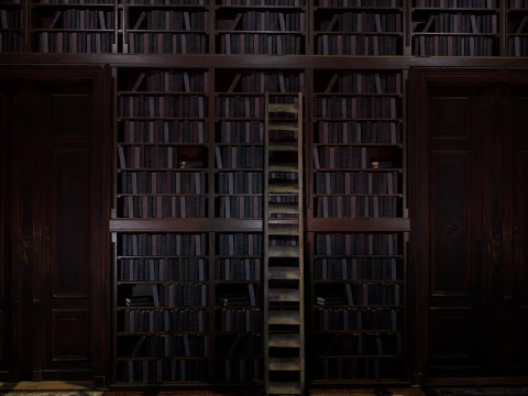 Gothic and Victorian Grand Manor Library 3D Model