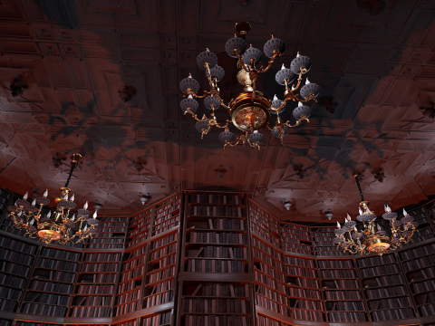 Unique Style Gothic and Victorian Library and Athenaeum 3Dモデル