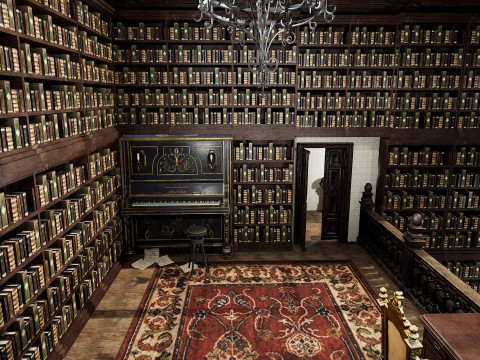 The Forgotten Gothic Victorian Library of Ashenhall 3D Model