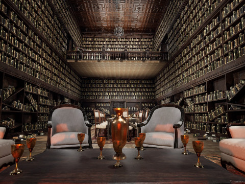 The Forgotten Gothic Victorian Library of Ashenhall 3D Model