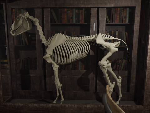 Old Era Anatomy Classroom Environment Modelo 3D
