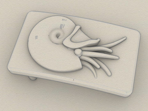 Belt buckle Nautilus 3D 打印模型