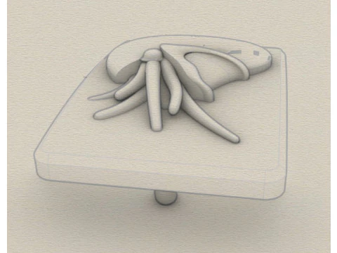 Belt buckle Nautilus 3D Print Model