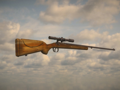 Western Rifle Modello 3D