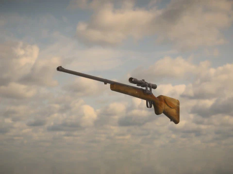 Fucile occidentale Modello 3D