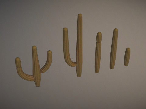 Western Cactus 3D-Modell