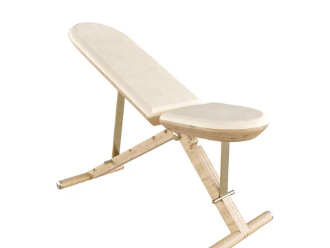 PENT Luxury Modern Gym Equipment Bench 3D Model
