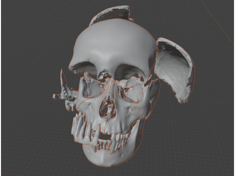 FULL HUMAN SKULL 25 PARTS 3D-printmodel