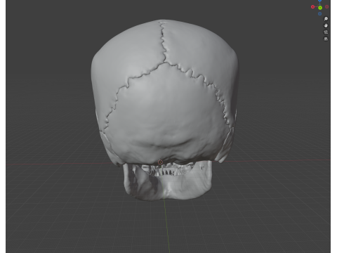 FULL HUMAN SKULL 25 PARTS Modèles 3D en vedette