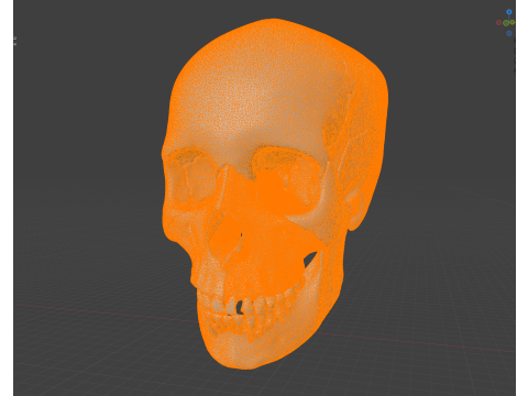 FULL HUMAN SKULL 25 PARTS Modèles 3D en vedette