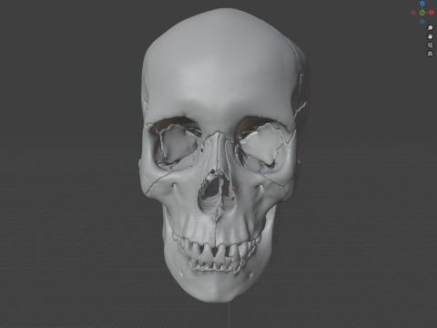 FULL HUMAN SKULL 25 PARTS Modèles 3D en vedette