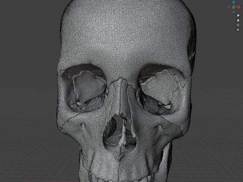FULL HUMAN SKULL 25 PARTS Modèles 3D en vedette
