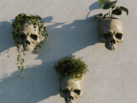 Skull Planter Pot Cover 3D 프린트 모델