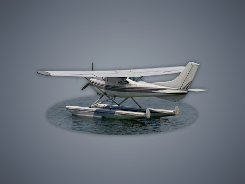 Cessna 182 Skylane Seaplane 3D Model