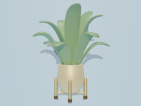 Potted plants-flowers 3D Modell
