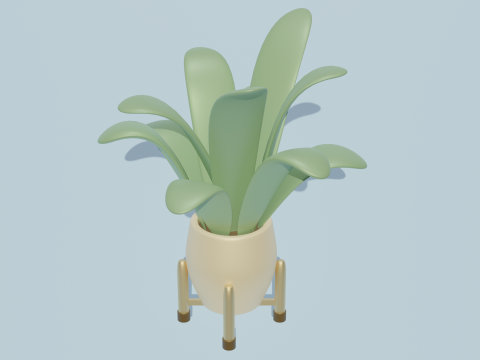 Potted plants-flowers 3D Modell