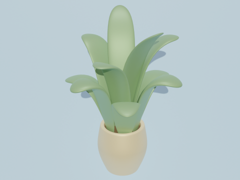 Potted plants-flowers 3D Modell