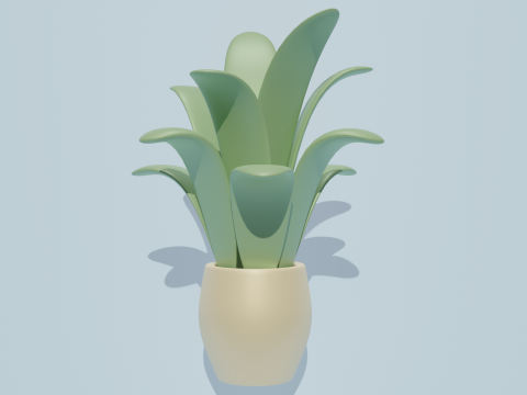 Potted plants-flowers 3D Modell