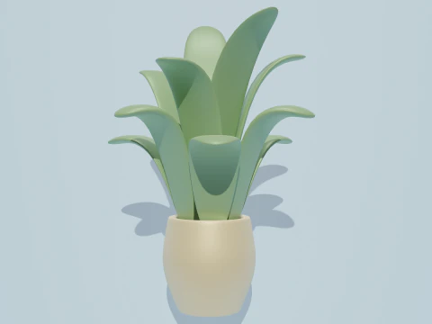 Potted plants-flowers 3D Model