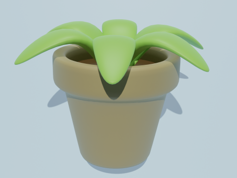 Potted plants-flowers 3D Modell