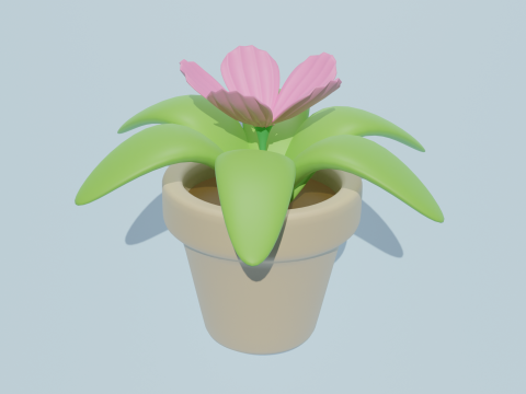 Potted plants-flowers 3D Modell