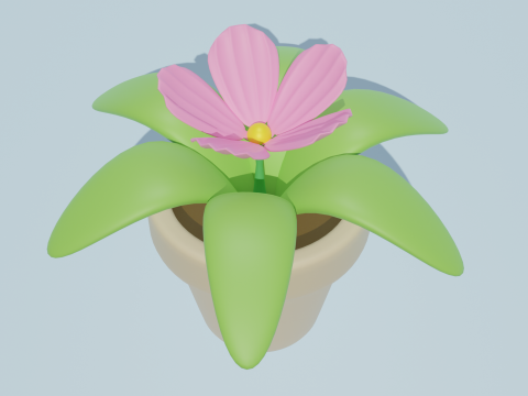 Potted plants-flowers 3D Modell