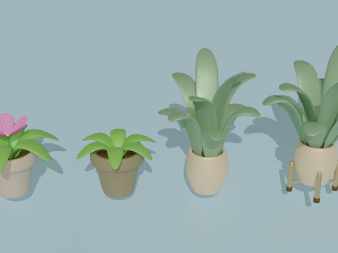 鉢植え・花 3Dモデル