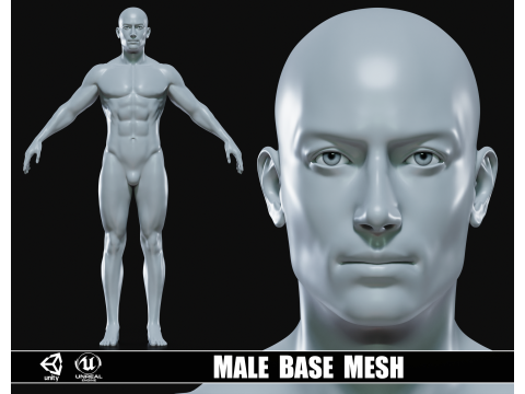 Realistic Athletic Man Body Base Mesh 3D Model