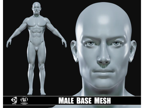 Malha de base corporal de homem atl&eacute;tico realista Modelo 3D