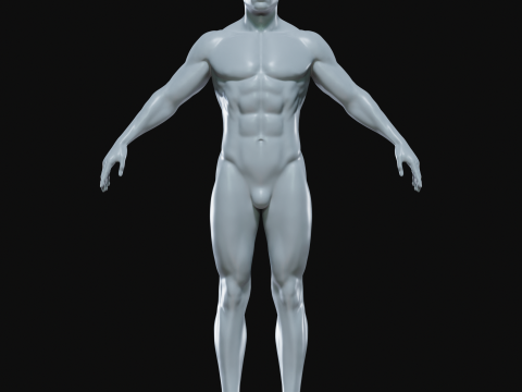 Realistic Athletic Man Body Base Mesh Modelo 3D