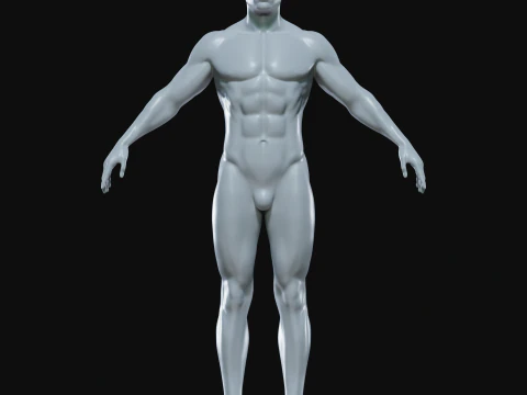Realistic Athletic Man Body Base Mesh 3D Model