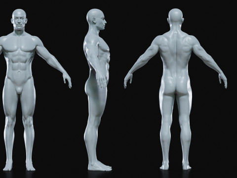 Realistic Athletic Man Body Base Mesh Modelo 3D