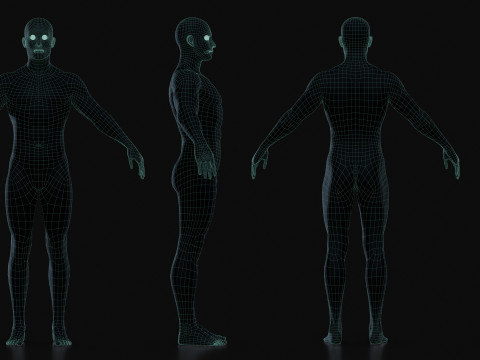 Realistic Athletic Man Body Base Mesh Modelo 3D