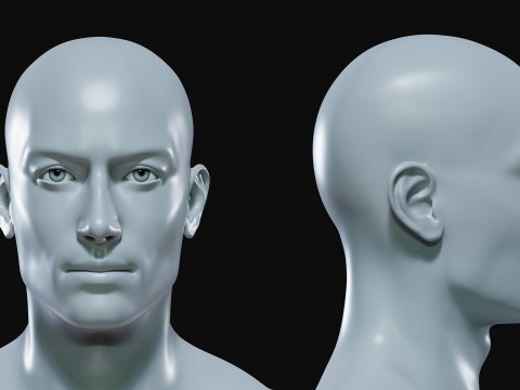 Realistic Athletic Man Body Base Mesh Modelo 3D