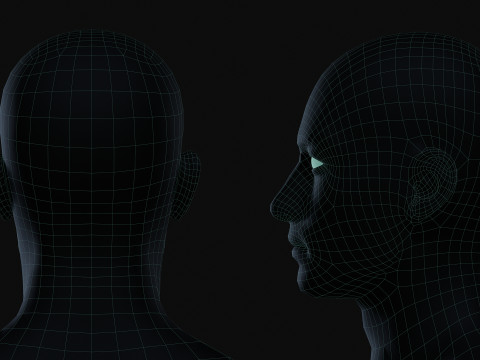 Realistic Athletic Man Body Base Mesh Modelo 3D